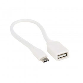 CABO OTG TIPO C X USB 15CM